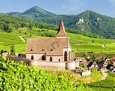 法国杯赛程积分榜